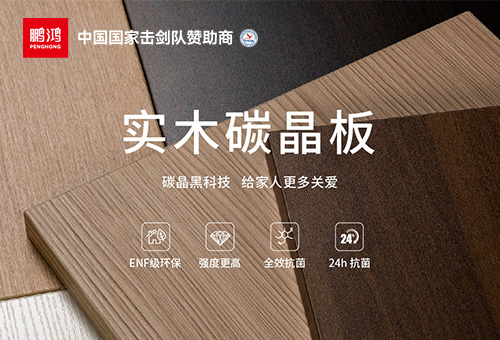 鹏鸿logo