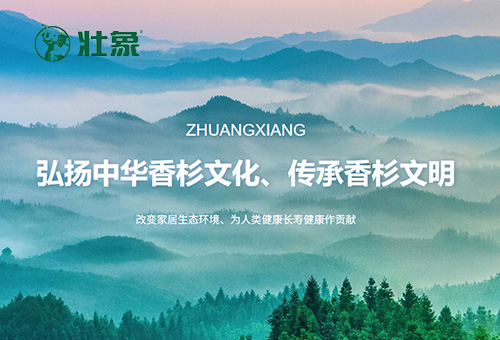 壮象logo