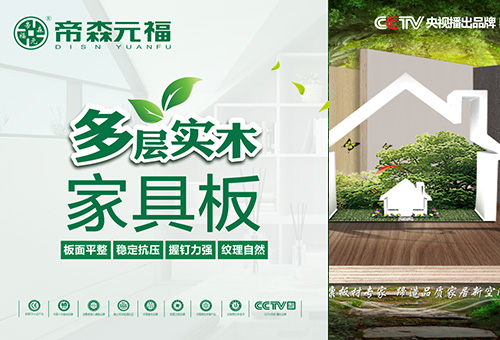 帝森元福logo