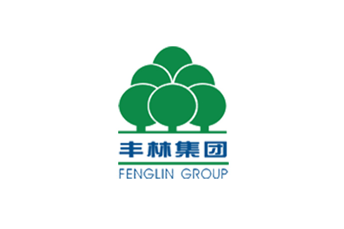 丰林集团