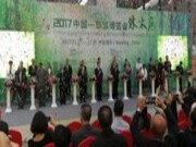 壮象板材-中国东盟博览会展风采