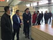 为新"智"造打call | 新时代的圣象强化地板制造基地今日落成