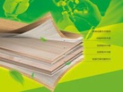 金龙树板材的品类不断完善，你准备好了吗？