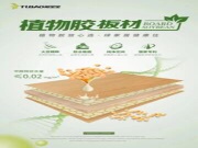 兔宝宝植物胶板材，真正做到即装即住！
