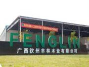 钦州市委副书记、市长王雄昌一行到钦州丰林调研考察