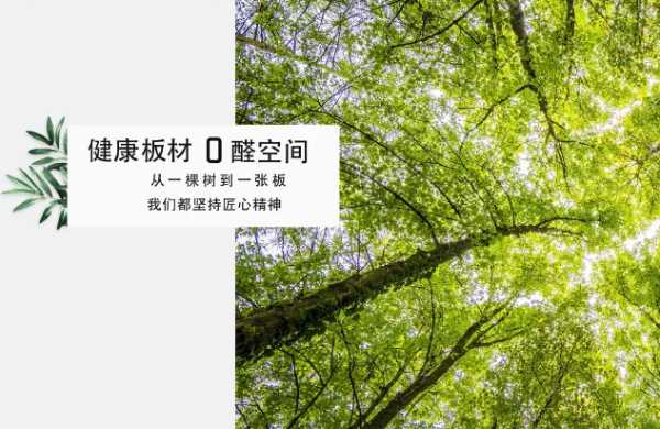 板材网