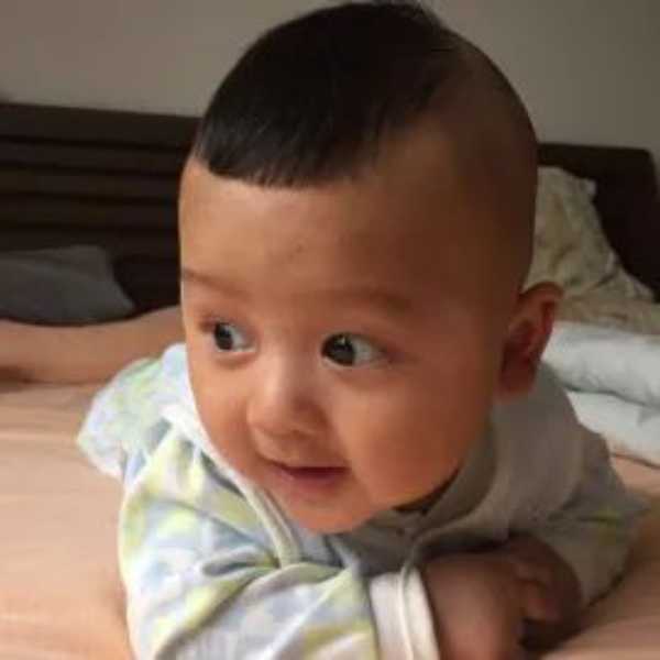 板材网