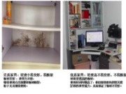 选兔宝宝板材，多年后，您的家也会一如初见！