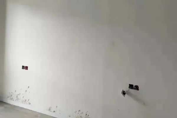 板材网