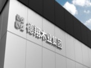 平安树 “材”健康 双11巅峰钜惠 平安树全国联动