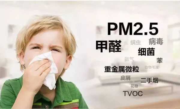 板材网