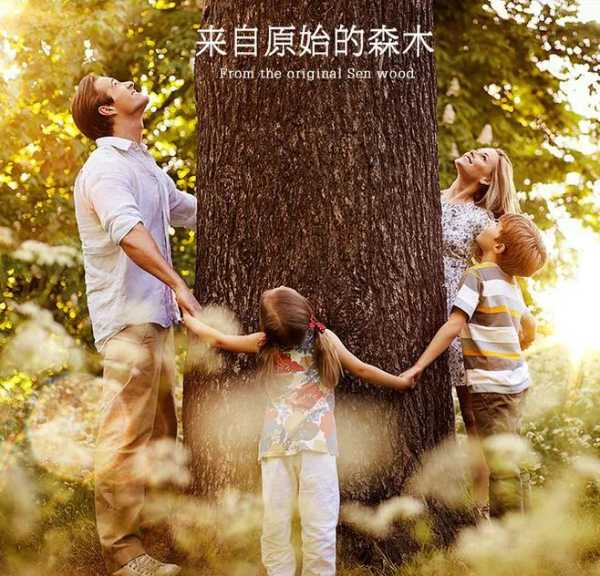 板材网