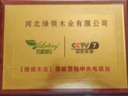 绿领板材强势登陆CCTV 央视广告隆重开播！