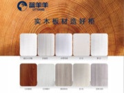 扬帆起航 奋力前行丨蓝羊羊板材品牌荣登CCTV央视广告