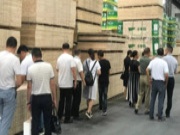 致初心 创未来丨服务商零距离探秘千年舟板材的匠心品质