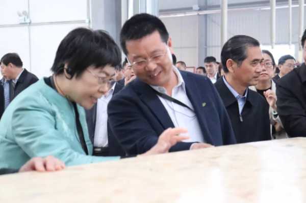 板材网