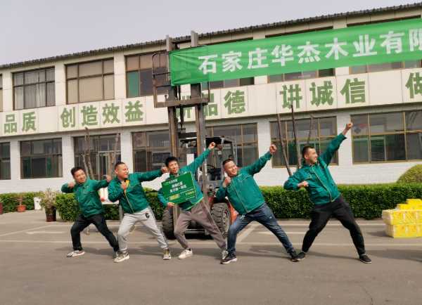 板材网
