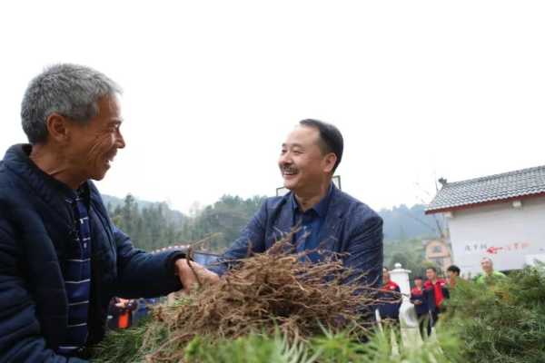 板材网
