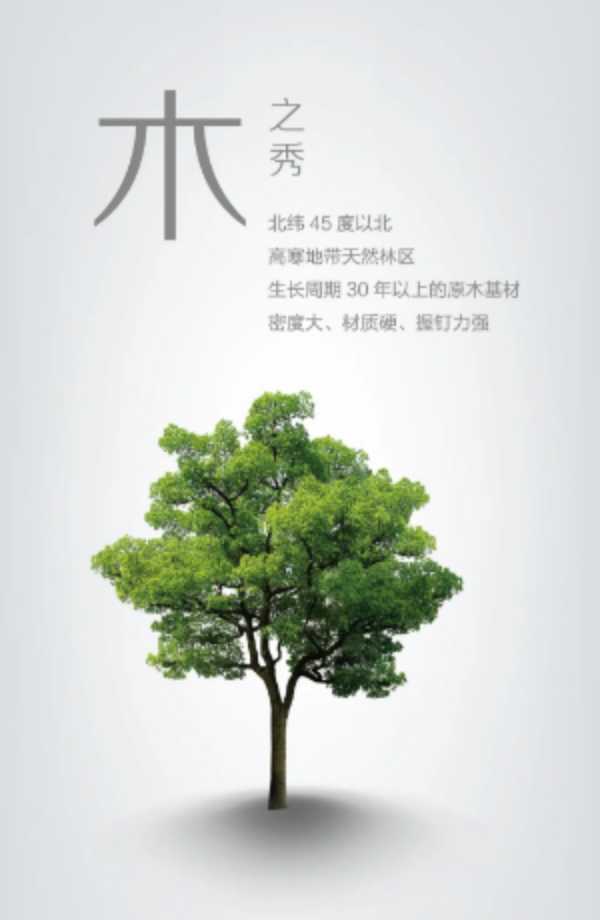 板材网