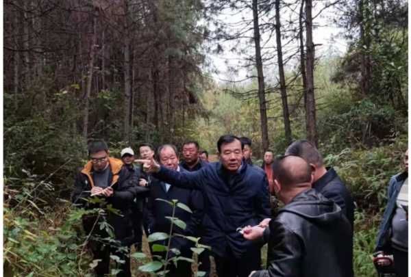 板材网