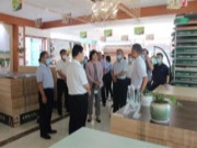 山东省商务厅领导一行莅临康居宝贝板材考察指导