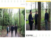深度调查 | 广西木业家居产业这样干！