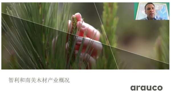 板材网