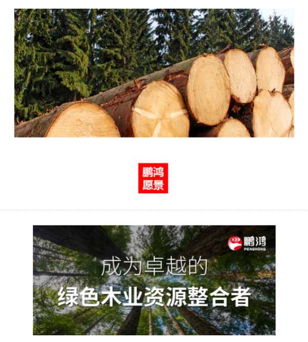 板材网