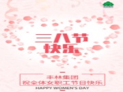 致丰林集团全体女职工“三八”妇女节的慰问信