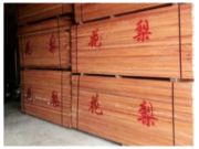 巴花的绝佳替代材？小巴花市场“异军突起”