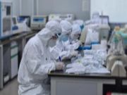 冠状病毒下的中国木材市场