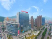 中国木业改革开放领军企业（10）