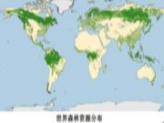 2019北美木材供应及进出口概况分析