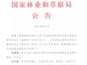 2019年全国人造板593个松材线虫病疫区禁止松材调入调出
