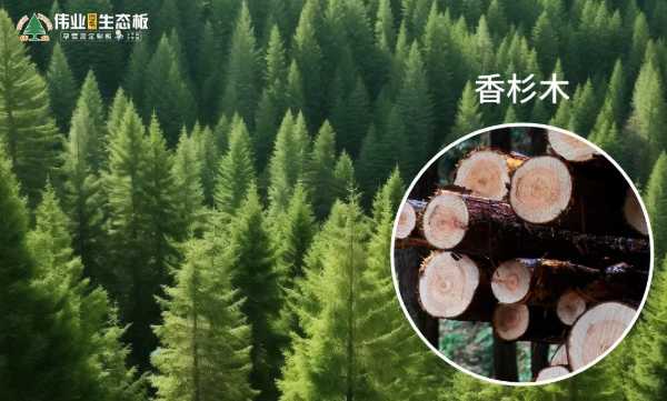板材网