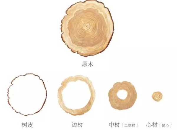 板材网