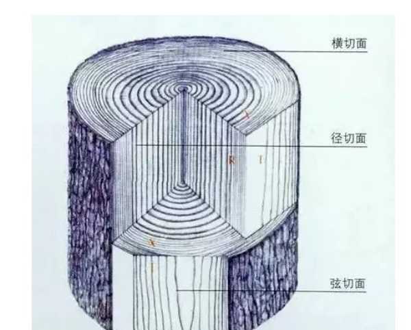 板材网