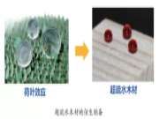木材仿生超疏水改性技术