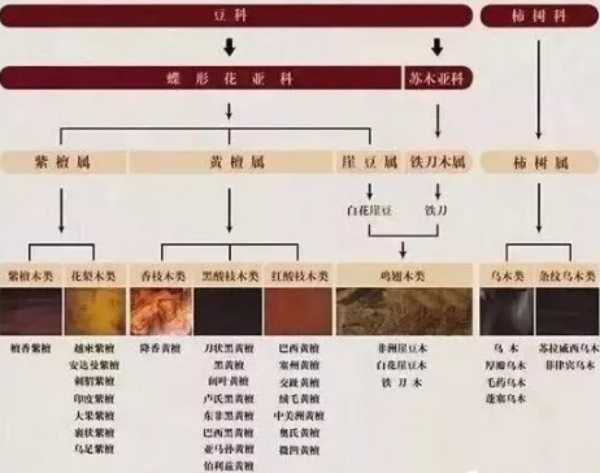 板材网