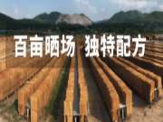 阻燃板——中国阻燃板品牌