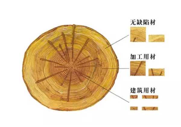 板材网