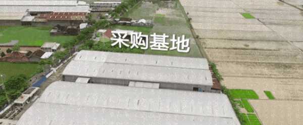 板材网