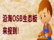 沿海OSB生态板来报到，请多关照！