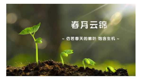 板材网