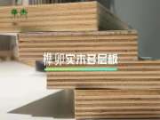 榫卯实木多层板 | 被低估的宝藏板材!实木质感！颜值耐看！