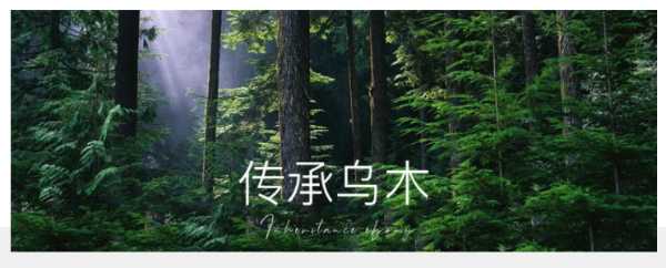 板材网