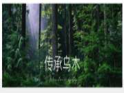 沪强集团家具板 × 传承乌木 | 极简奢意，尽在其间