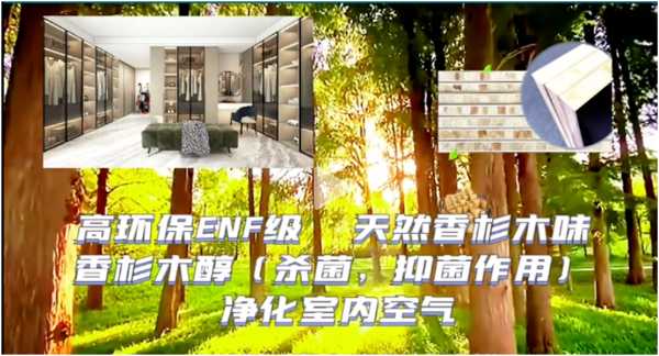 板材网