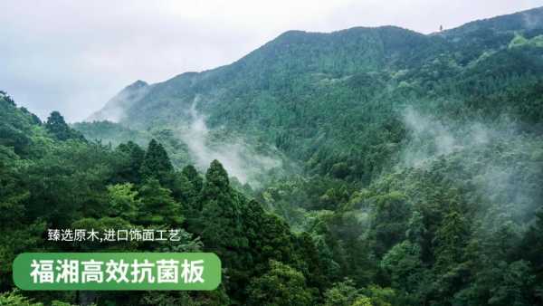 板材网