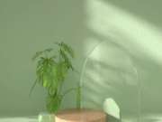春「色」撩人·满屋缤纷丨装修选这些花色，让家里四季如春！